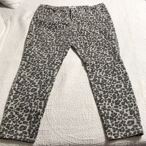 NWT LOFT Curvy Skinny Jeans in Leopard Print